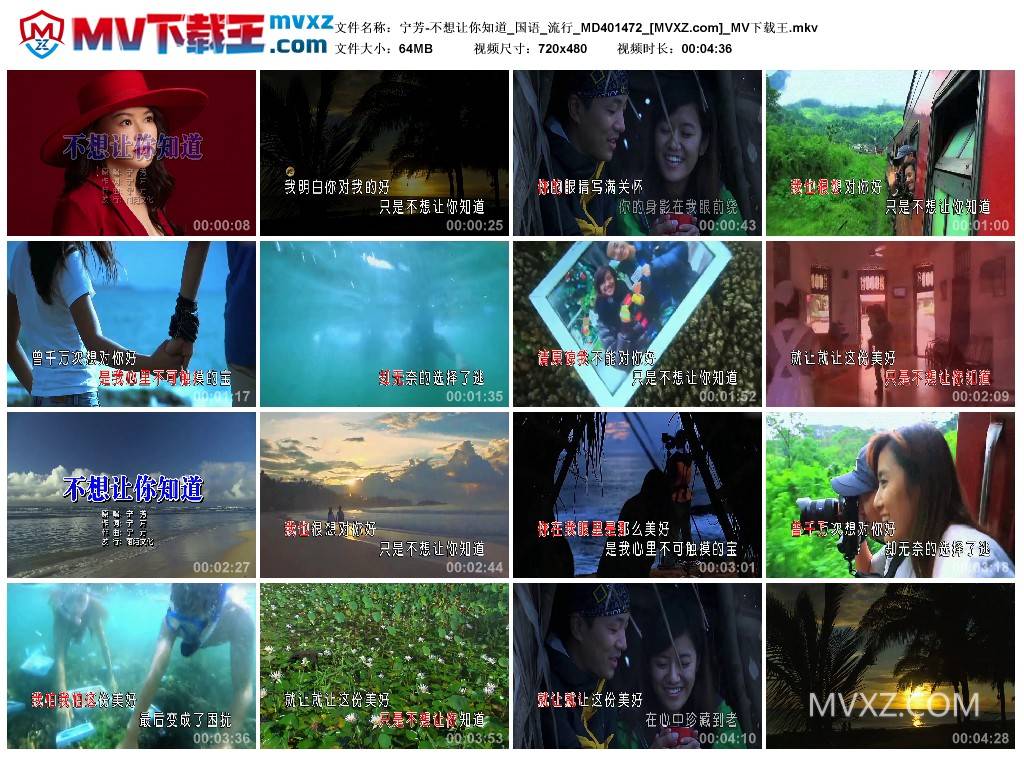 宁芳-不想让你知道_国语_流行_MD401472